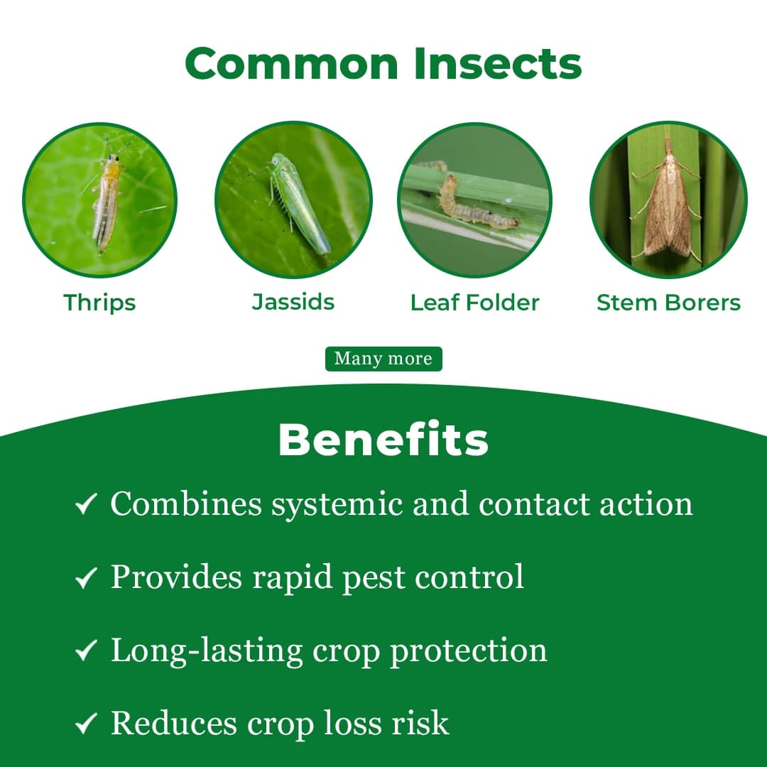 Gharda Hamla 550 Chlorpyriphos 50% + Cypermethrin 5% EC Insecticide, Systemic and Contact Action - Image 3