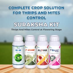 Suraksha Kit For Thrips And Mites Control at Flowering Stage 45-80 Days (F-Zone 250 ML + Alpha Bio 250 ML + Flower Magic 250 ML + NB 80 250 ML) 2