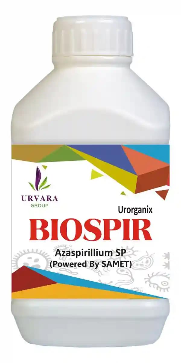 Biospir - Azaspirillum spp for nitrogen fixing in the soil for easy absorption of fixed nitrogen in soil by roots - Image 2