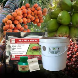 ACTIVE IPM Palm Trap + Red Palm Weevil Pheromone Lure, Pest Control Tool For Rhynchophorus Ferrugineus 2