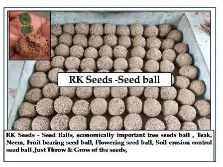 RK Seeds - Seed Balls, Economically Important Tree Seeds Ball, Teak, Neem, Fruit Bearing Seeds Ball, Flowering Seed, Soil Erosion Control Seed Ball - Image 2
