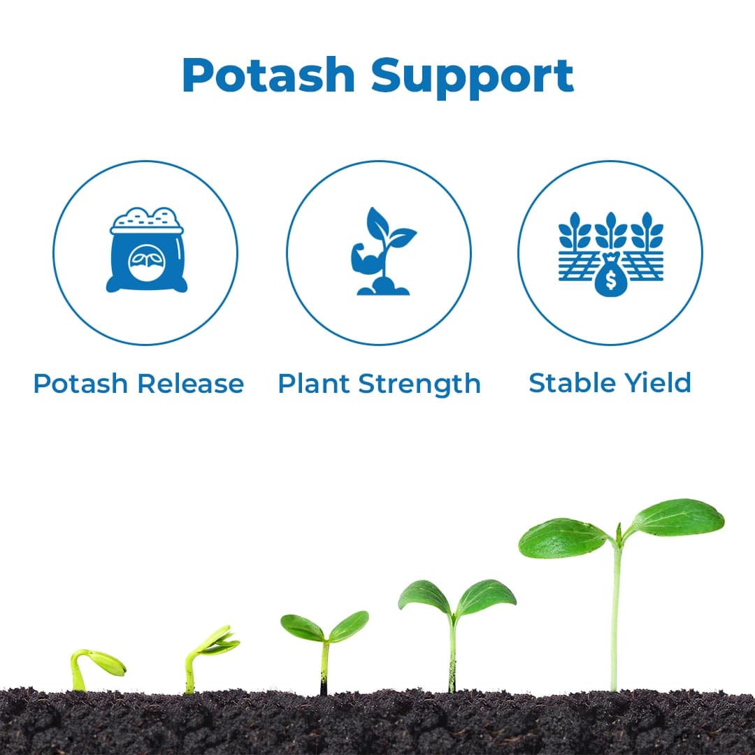 Anand Agro Care Dr. Bacto\'s KMB 4K (Potash Mobilizing Bacteria) Increases Crop Productivity And Yield - Image 3