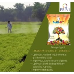 Privi Calsi-B Double Plus, Chelated Calcium And Boron Fertilizer For Enhanced Fruit Yield Supplement with Encapsulated Silicon 4