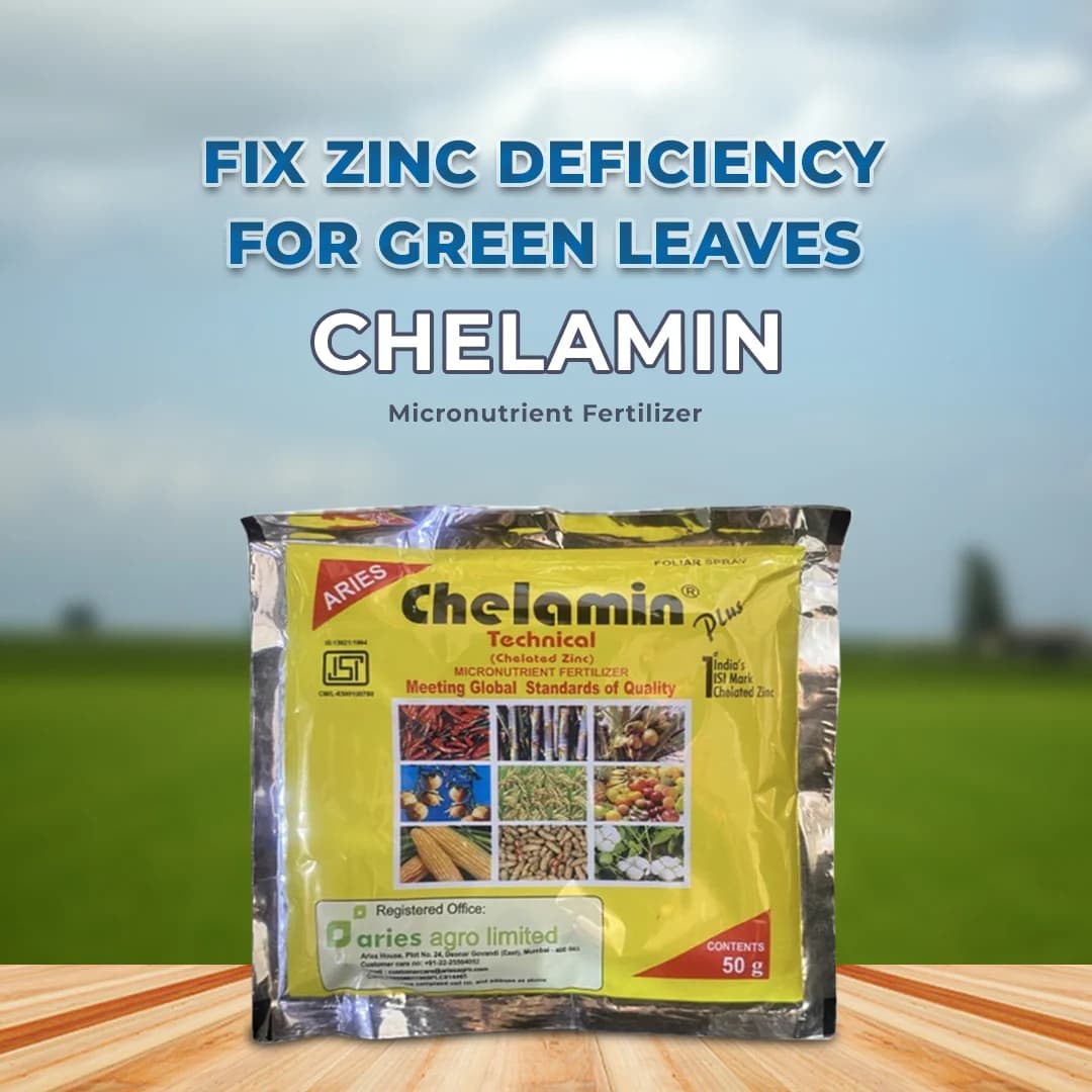 Chelamin Plus Chelated Zinc Fertilizer - Image 2