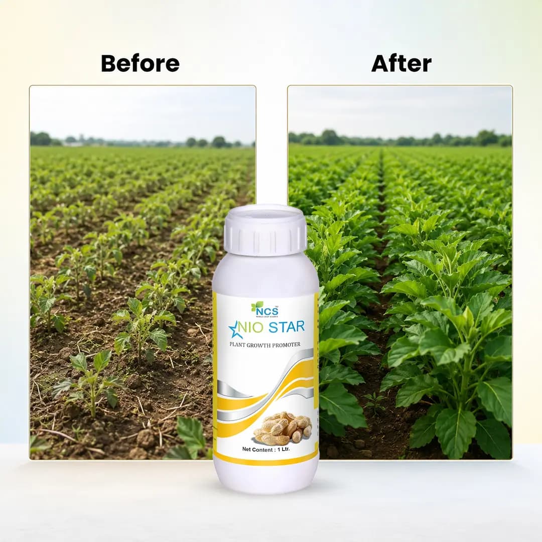 NCS Nio Star - Plant Growth Promoter - Image 6