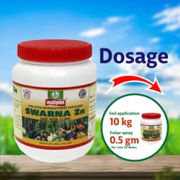 Multiplex Swarna Zn Zinc EDTA 12% Chelated Micronutrient Fertilizer For All Crops 3