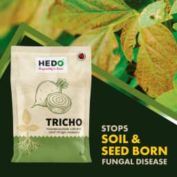 HEDO Tricho Trichoderma Viride 1.5% WP Bio Pesticide, Control A Wide Range of Soil And Seed Borne Fungal Diseases 2