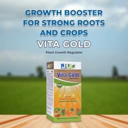Ju Vita Gold Potassium Humate (68%) and Potassium Oxide (10%), Plant Growth Regulator, Enriched Organic Bio Enhancer 2