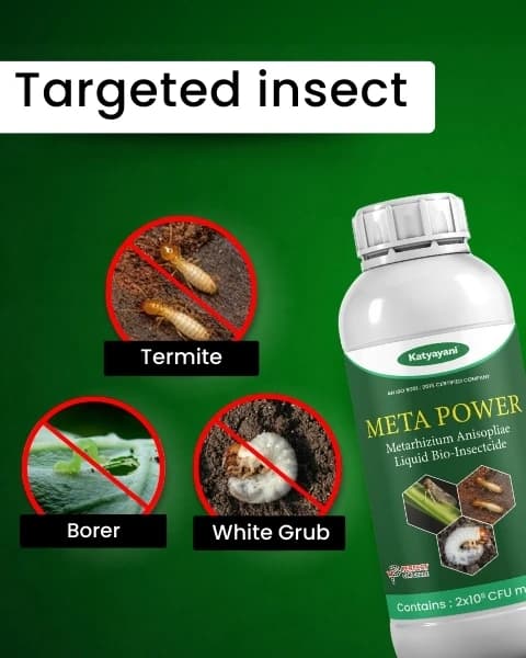 Katyayani Meta Power Metarhizium Anisopliae, Liquid Bio Insecticide, Effective Against a Broad Spectrum of Insects - Image 3