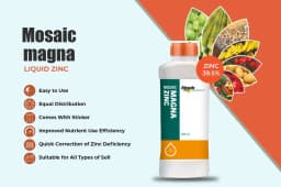 Mosaic Magna Zinc 39.5% Zinc Liquid Foliar Nutrition, Zinc Deficiency Correction And Enhanced Crop Growth 4