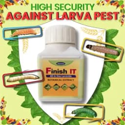 Katyayani Finish It Insecticide, Control For Cabbage Butterfly, Armyworm, Natural Larvicide For Crops (All In One Larvicide) 3