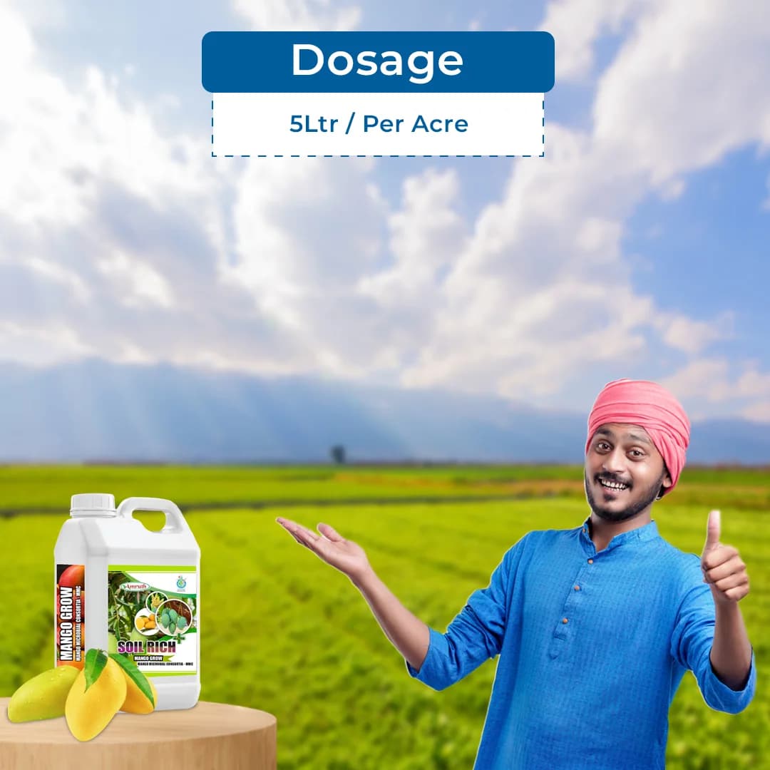 Amruth MANGO GROW Mango Microbial Consortia-MMC, Helps In Plant Growth And Development, Specially For Mango - Image 5