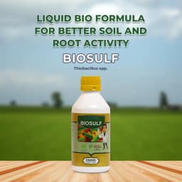 Dr. Bacto\'s BioSulf (Vegetative Cells Of Thiobacillus Spp.), Non Toxic. Converts The Insoluble Form of Sulphur and Ferrous Into Soluble Form. 2
