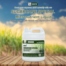 Sugarcane Special Liquid Micronutrient Mixture Fertilizer Enriched with Essential Micronutrients like Zinc, Ferrous, Boron, Copper And Manganese. 6