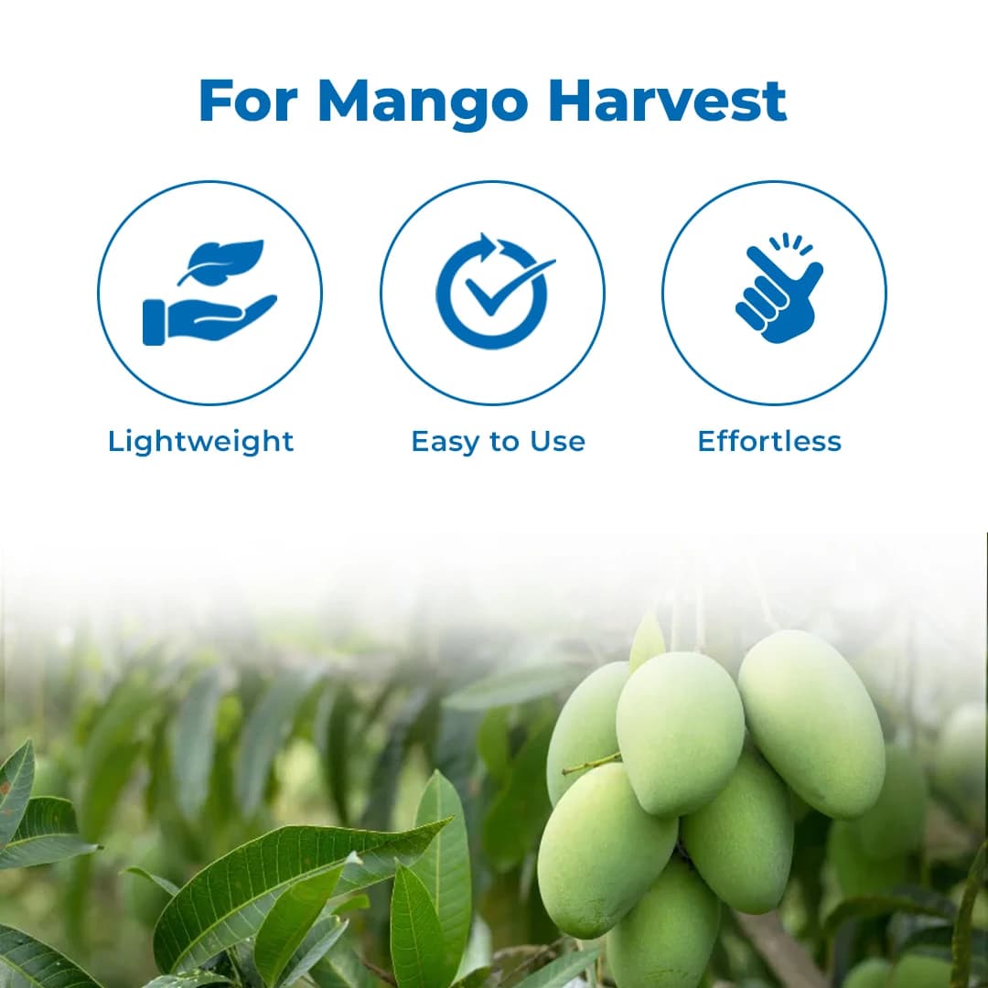 Hectare Lightweight Mango Fruit Picker - Harvester (Without Pole) - Image 3