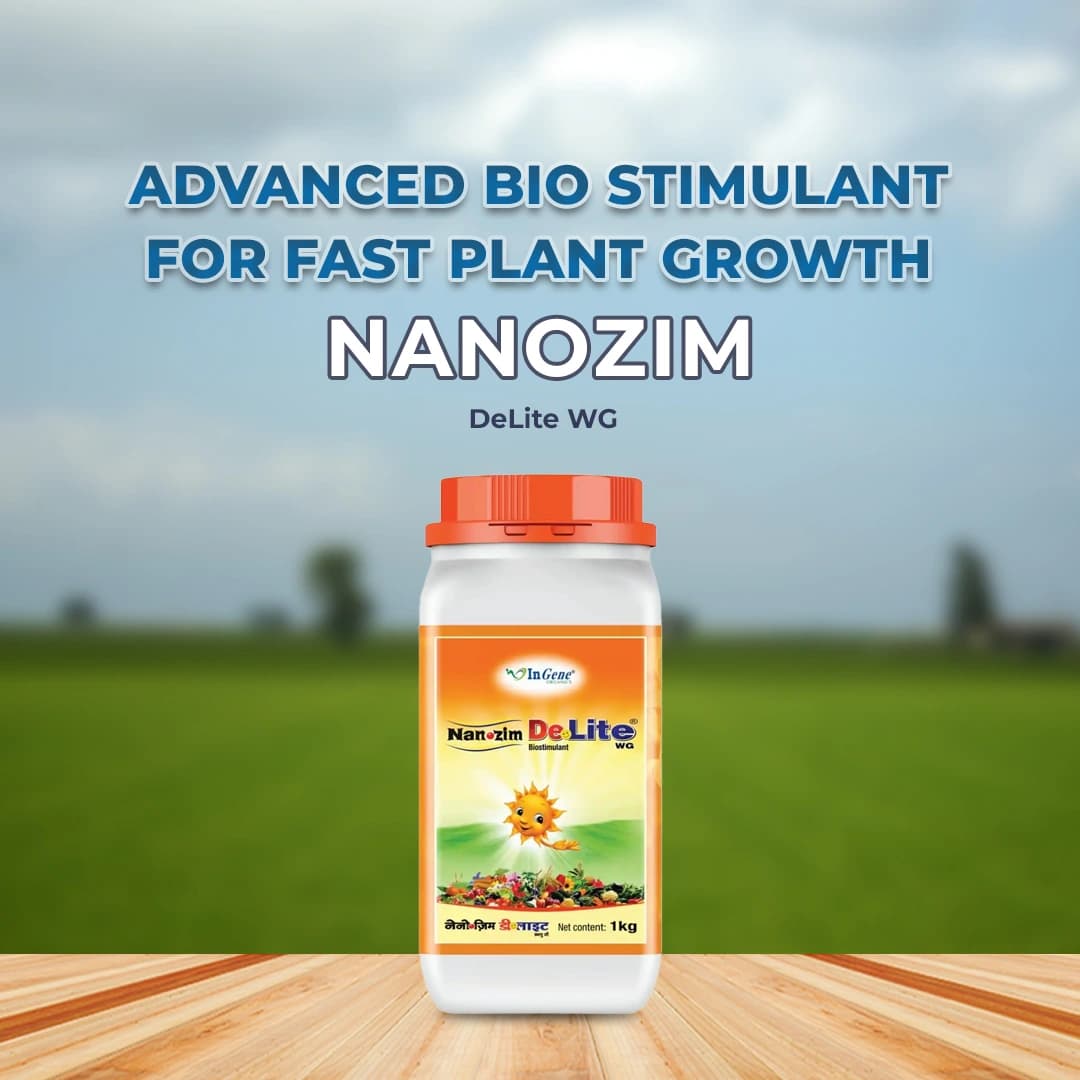InGene Nanozim DeLite WG Bio-Stimulant, Advanced Seaweed Based For Enhanced Crop Growth And Yield - Image 3