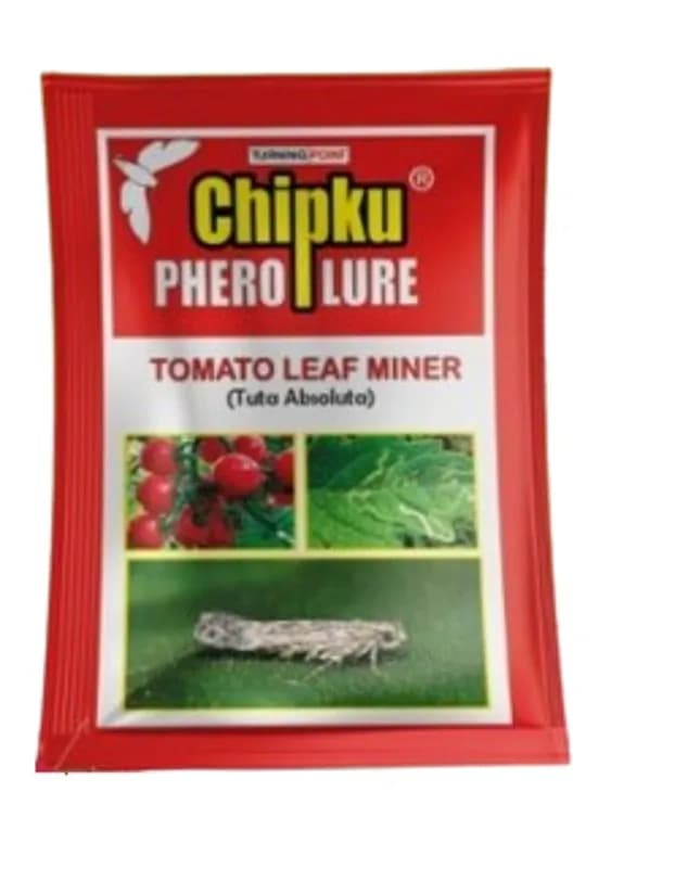 Chipku Pheromone Water Trap With Tuta Absoluta Lure To Catch Insect Tomato Leaf Miner (TLM) of Tomato, Potato, Egg Plant etc. - Image 2