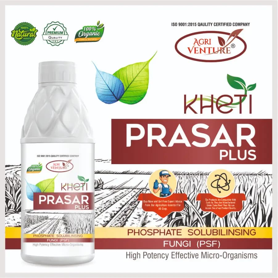 Agriventure Kheti Prasar Plus ( Psf - Phosphate Solubilizing Fungi ) Eco-Friendly Bactericide Organic Product Bio Firtilizers - Image 2