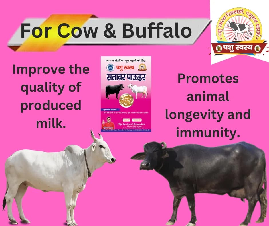 PASHU SVASTH SITAWAR POWDER, Animal Health Suppliments, Pure Herbal Blend For Healthy Milk Yield In Animals - Image 2