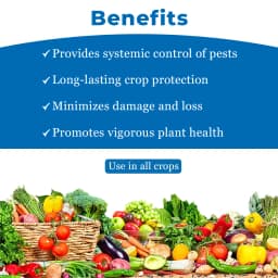 HPM 7-STAR Thiamethoxam 25% WG Insecticide, Excellent Control of Many Sucking and Chewing Pests 4