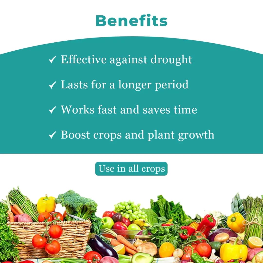 FOREVER - Special Plant Growth Promoter, Yield Enhancer, and Plant Immunity Booster (Humic Acid + Amino Acid + Seaweed Extract + Fulvic + Cytokinin) - Image 4