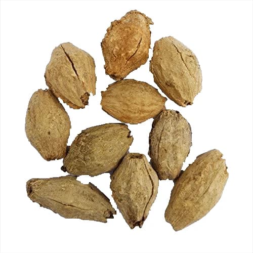 RK Seeds Melia Dubia Seeds, Malabar Neem Treated Seeds. Multipurpose Use, Fast Growing tree ,Malaivembu tree seed ,plywood and pulp wood tree seeds
