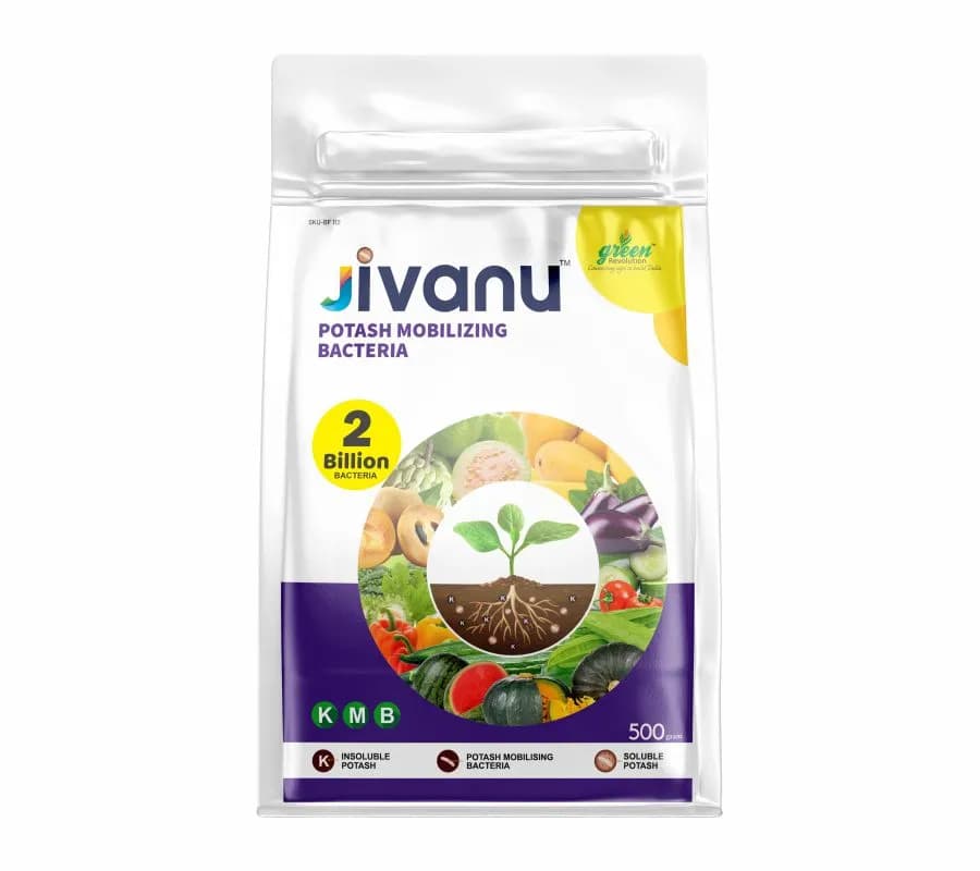 Jivanu (Potassium Solubilizing and Mobilizing Bacteria KSB, KMB) Bio Fertilizers