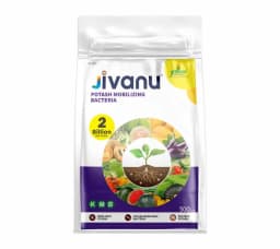 Jivanu (Potassium Solubilizing and Mobilizing Bacteria KSB, KMB) Bio Fertilizers 1