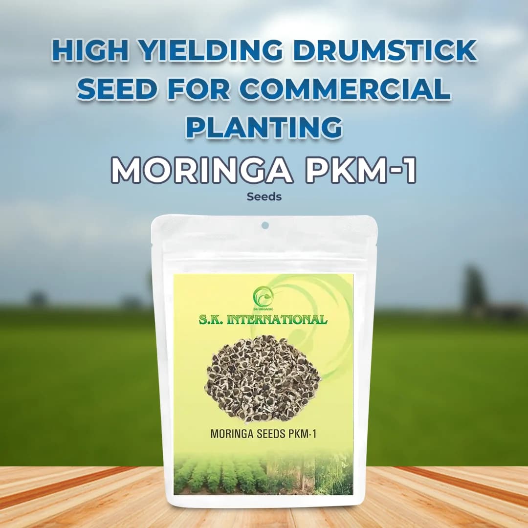 S.K. International Moringa PKM1 (Drumstick) Seeds - Image 2