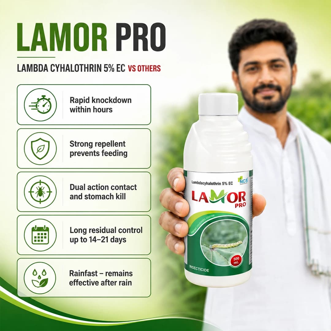 NCS Lamor Pro Insecticide - Lambda Cyhalothrin 5% EC - Image 7
