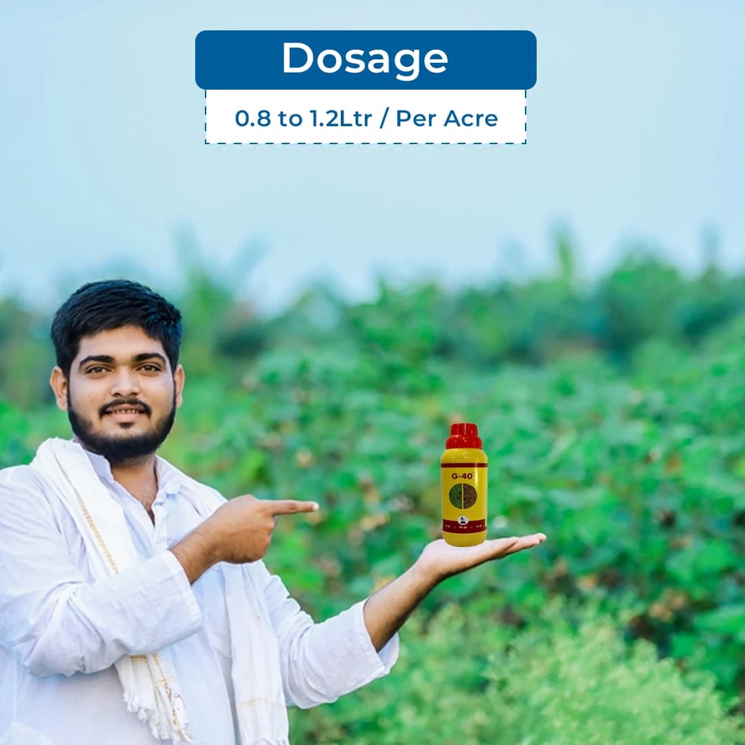 MBF G-40 Glyphosate 41% Systemic Herbicide, For Controlling Weeds of Tea and Non Crop Areas - Image 5