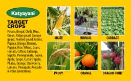 Katyayani Striker Pseudomonas Fluorescens Liquid Bio Fungicide, Effective Disease Control For Healthier Crops 3