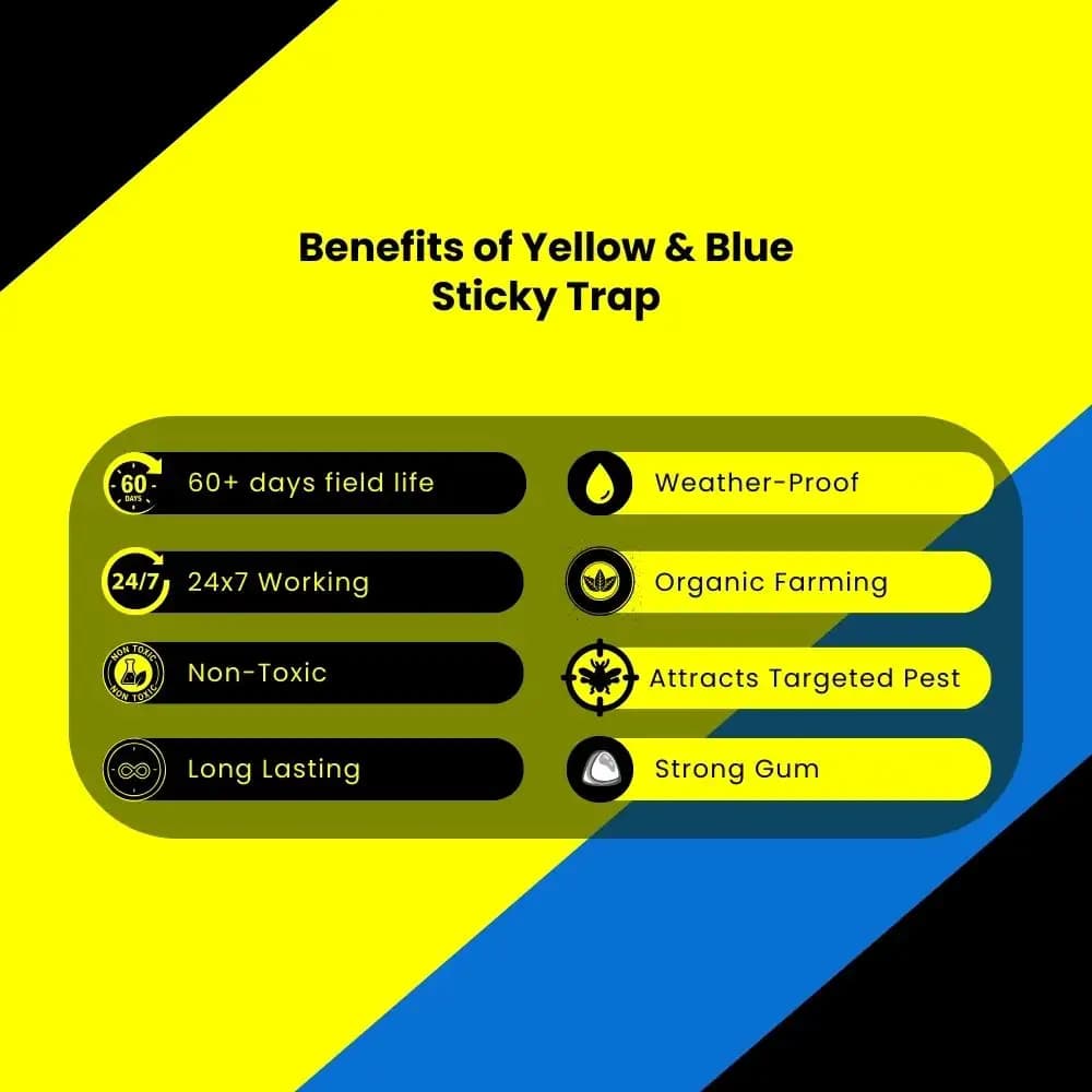 Chipku A5 Yellow & Blue Sticky Trap For Insects, For Garden & Agriculture To Control Whiteflies, Aphids, Thrips, Jassids - Image 9