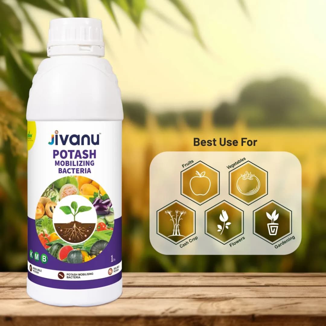 Green Revolution Jivanu KMB Potash Mobilizing Bacteria Liquid Bio Fertilizer - Image 7