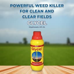 Excel Sumitomo Glycel Glyphosate 41% SL Herbicide, Most Widely Used In Non-Crop and Tea Plantation 2