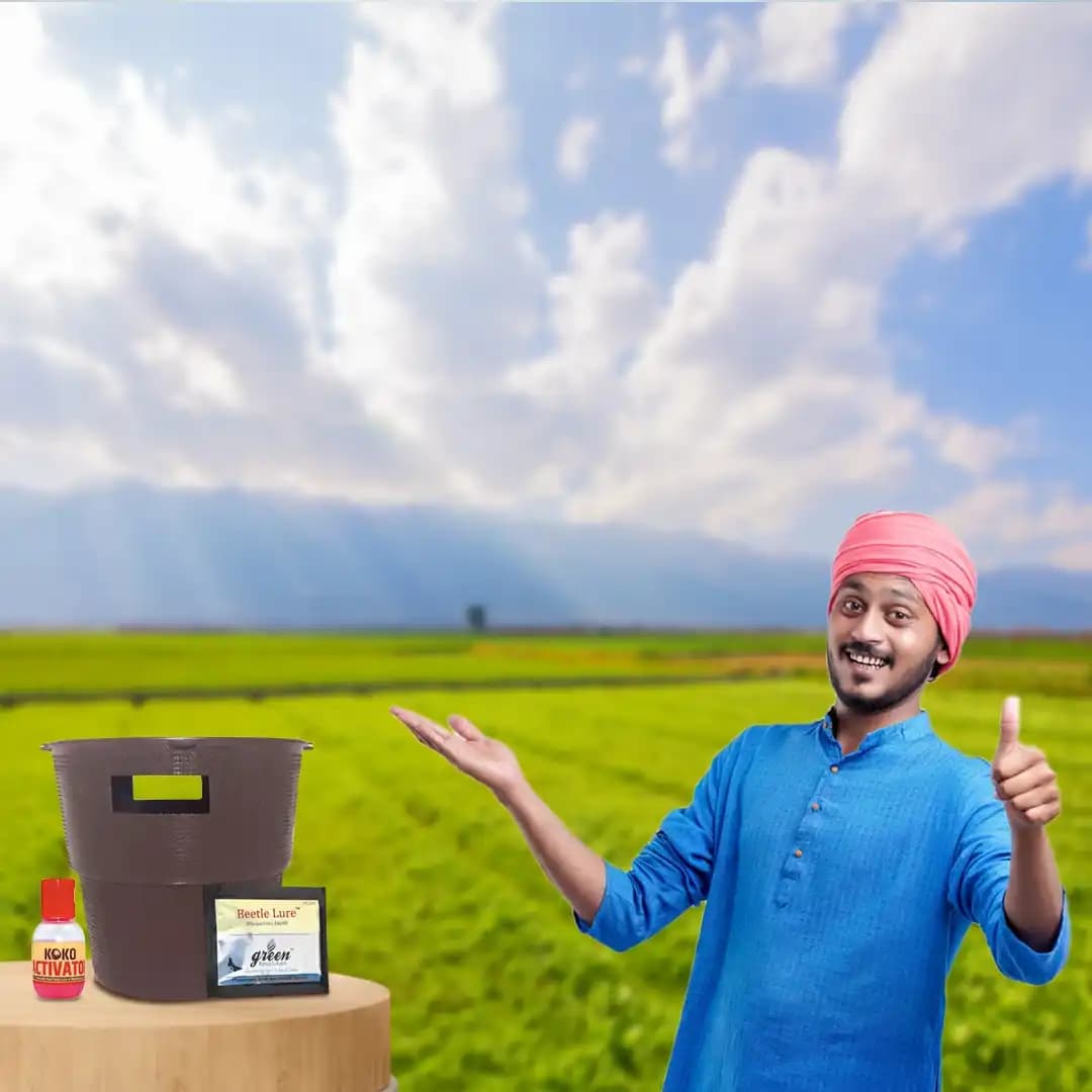 Pheromone Trap & Lure for RB (Rhinoceros Beetle) KOKO Activator Free, For Coconut, Date Palm, Oil Palm, Arecanut Palm. - Image 5