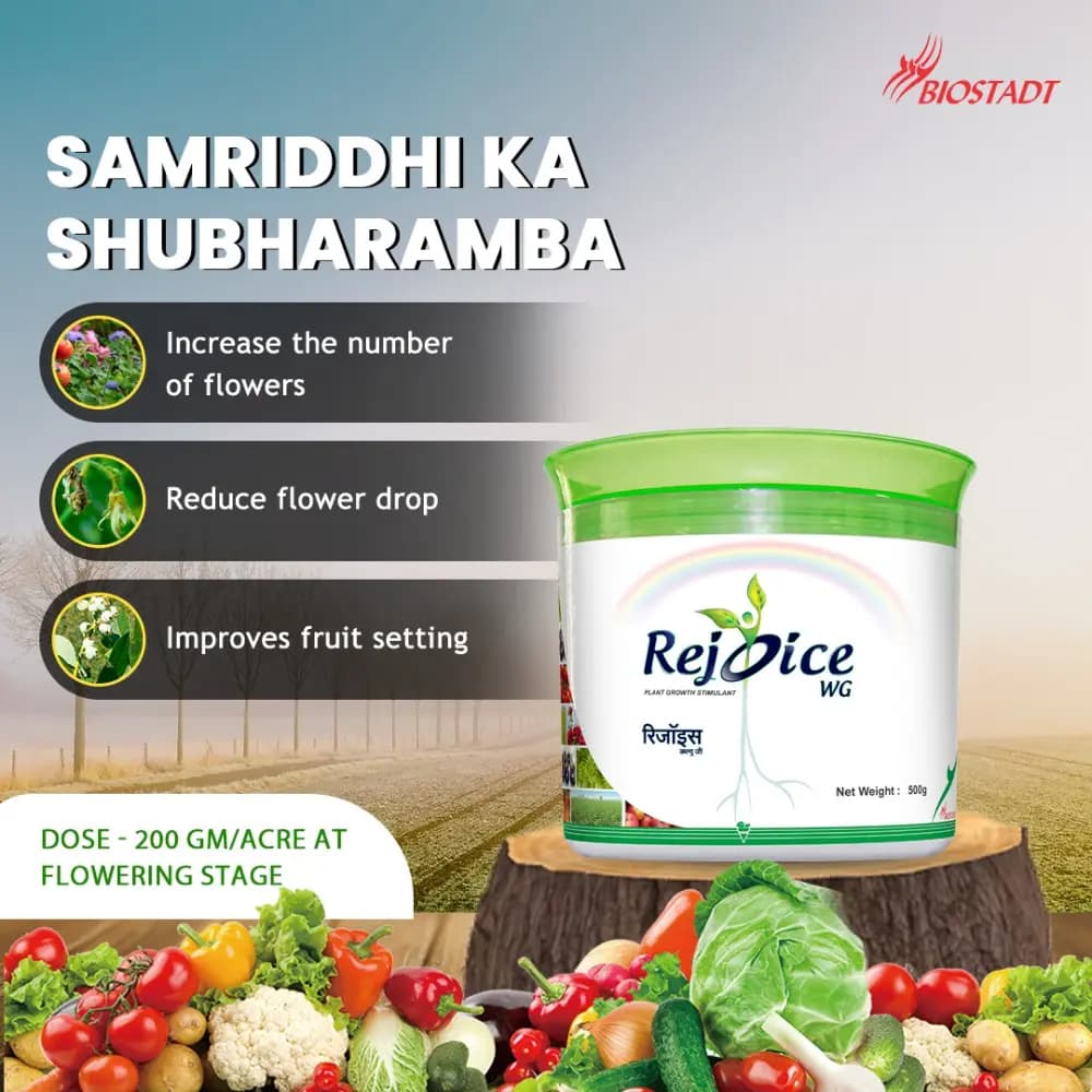 Biostadt Rejoice WG Bio-Stimulant, Enhanced Flowering And Fruit Setting, Higher Yield And Better Quality - Image 2