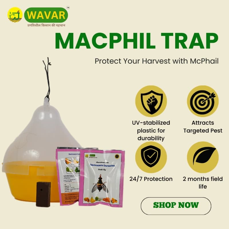 WAVAR Bactrocera Dorsalis Macphil Trap, Easy To Install, Effective Fruit Fly Control - Image 3