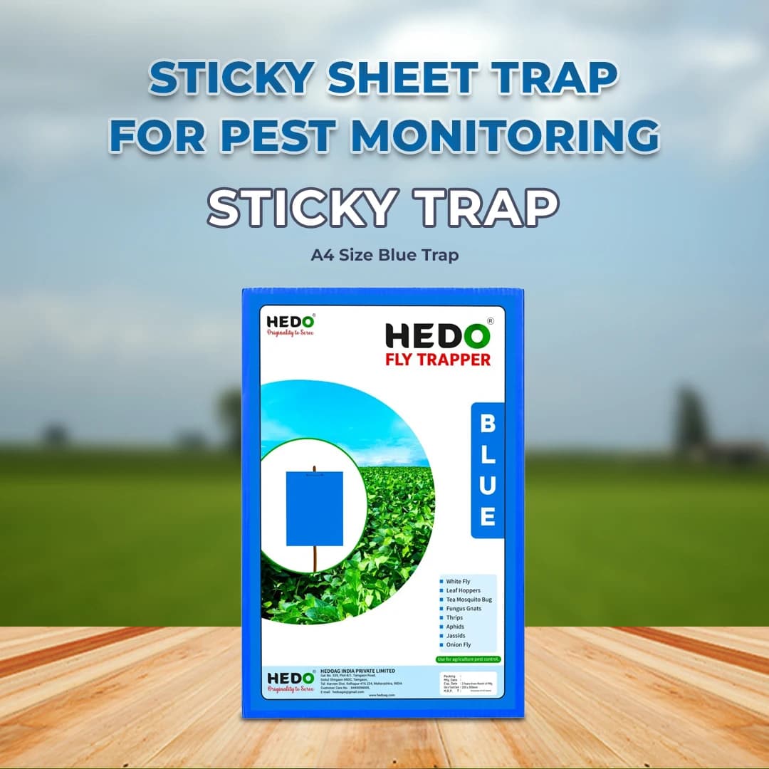 HEDO Eco A4 Size Blue Sticky Trap For Thrips, Aphids, Jassids & All Harmful Flying Insects, Best For Organic Vegetable And Fruits Farming Pest Control - Image 2