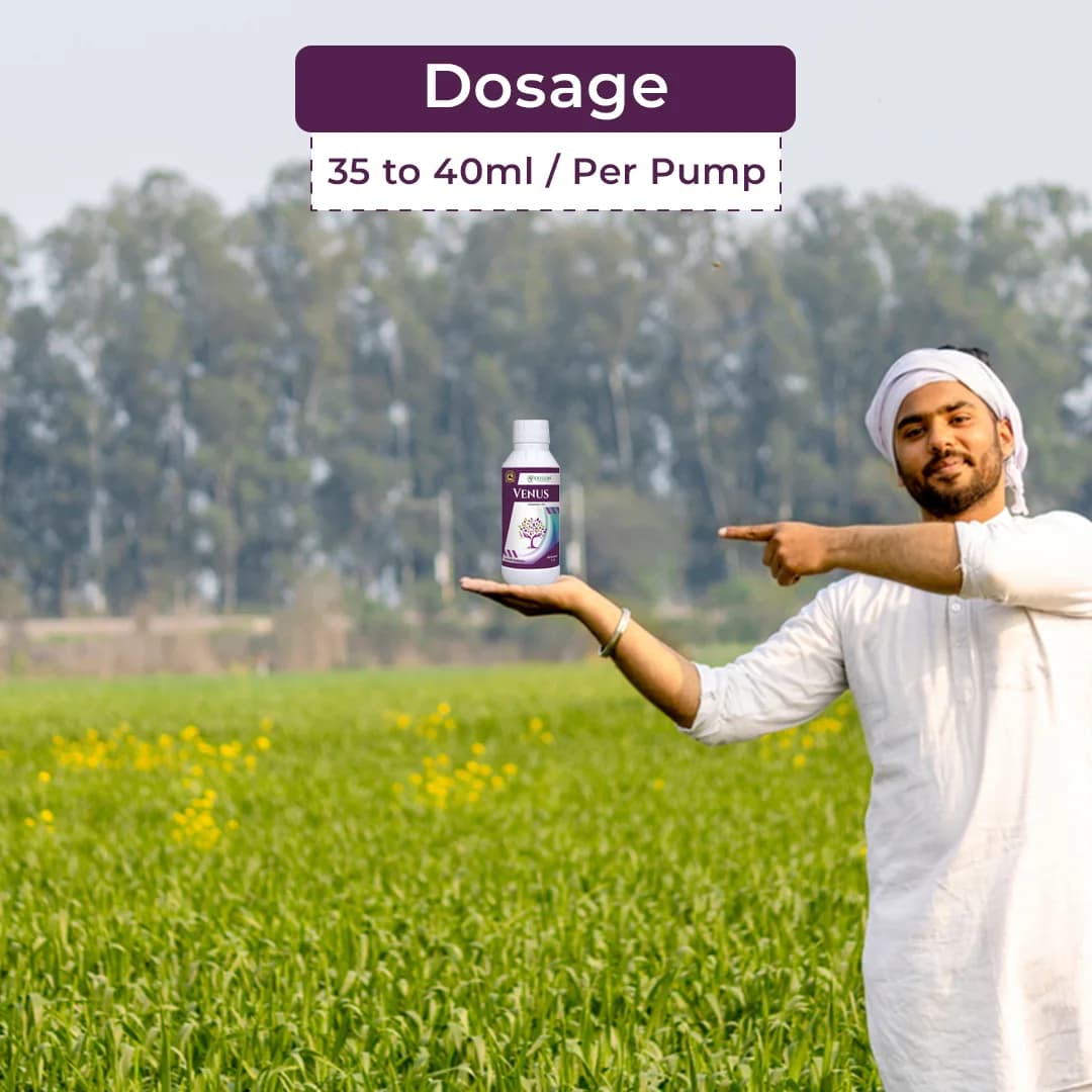 Exylon Venus Validamycin 3% L Fungicide, Broad-Spectrum, Fungal And Bacterial Diseases Controls In Crops - Image 5