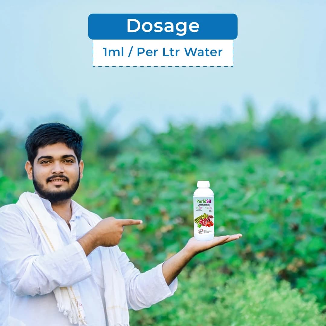 PerfoSil Ecocert Certified Plant Immunity & Yield Booster of Plants, Bio Available Stabilized Silica 3%, Sorbitol 15% - Image 5