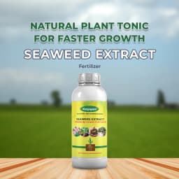 Premium Seaweed Extract Liquid for Plants Vegetables Flowers Fruits Promotes Plant Growth, Flowering, Fruiting - Keeps Plant Healthy and Greenish 2