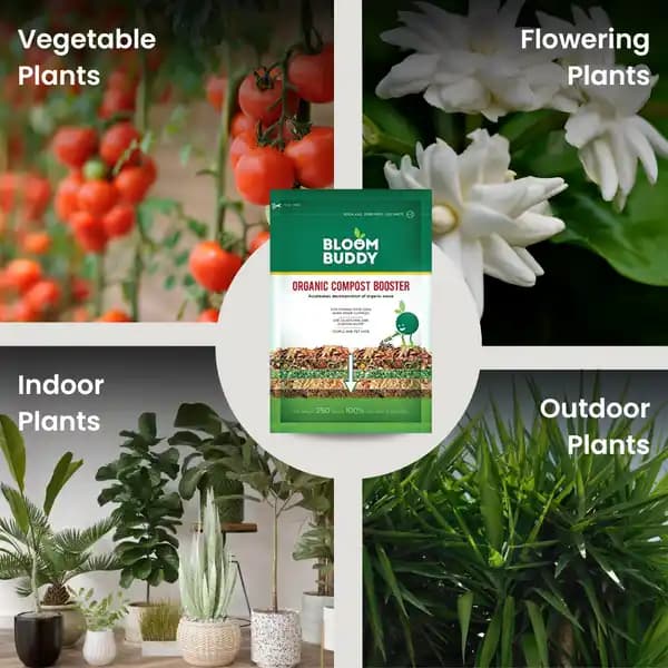 Bloombuddy Organic Compost Booster, Agricultural Waste Decomposition For Kitchen And Garden - Image 8