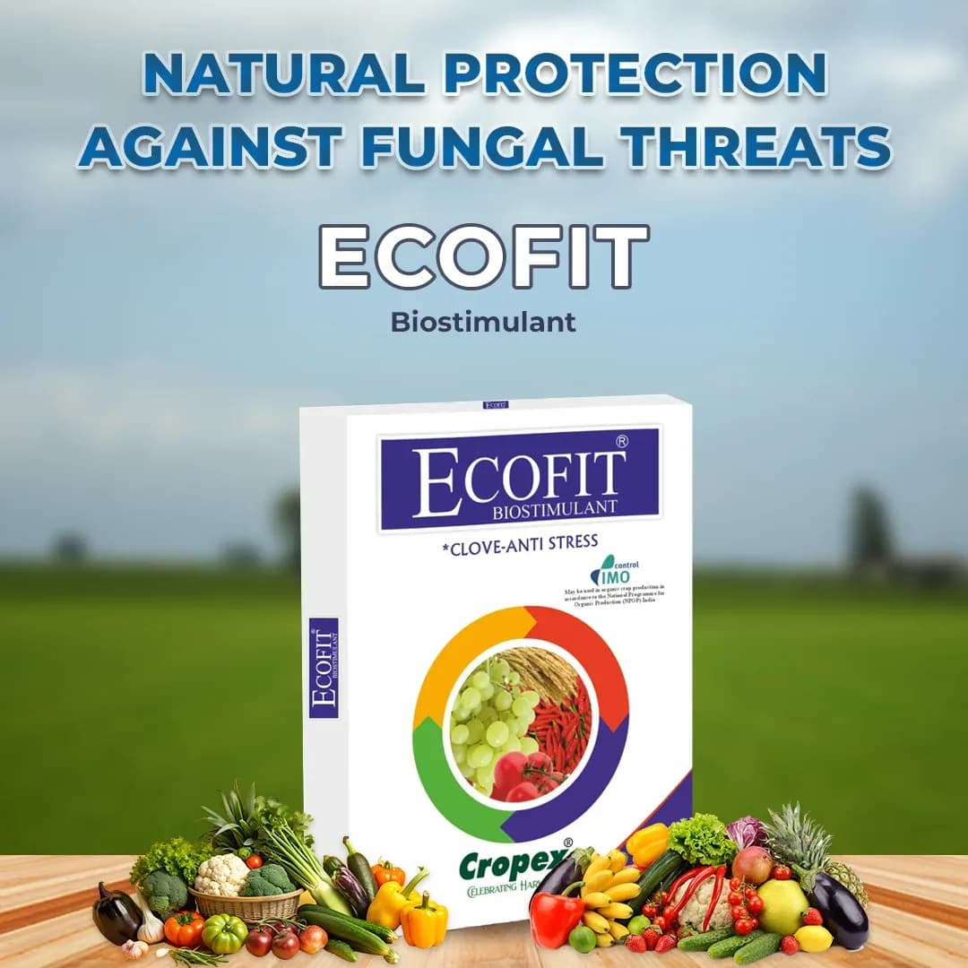 Cropex Ecofit+ Adhatoda Vasica Powder Botanical Extract Biostimulant For Potato Crops Growth - Image 2