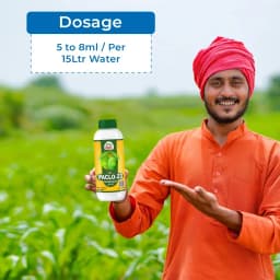 EBS Paclo-23 Paclobutrazol 23% SC, Plant Growth Regulator, Enhances Branching, Flowering, and Fruit Setting in Mango, Use for All Crops 5