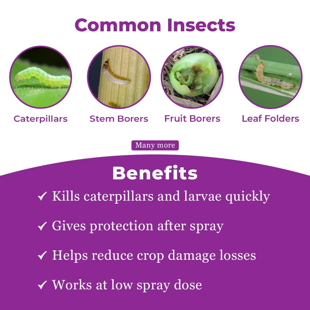 Berrysun Power Control Insecticide - Image 3