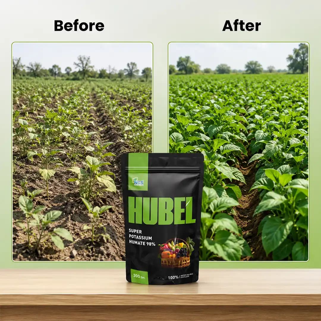 NCS Hubel Humic Acid - Image 7