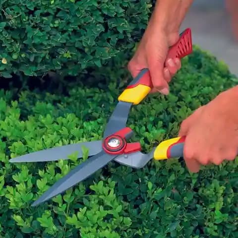 Wolf Garten Hedge Shears (HS-B), Specially Designed To Be Used On Box Trees And Other Topiary Plants