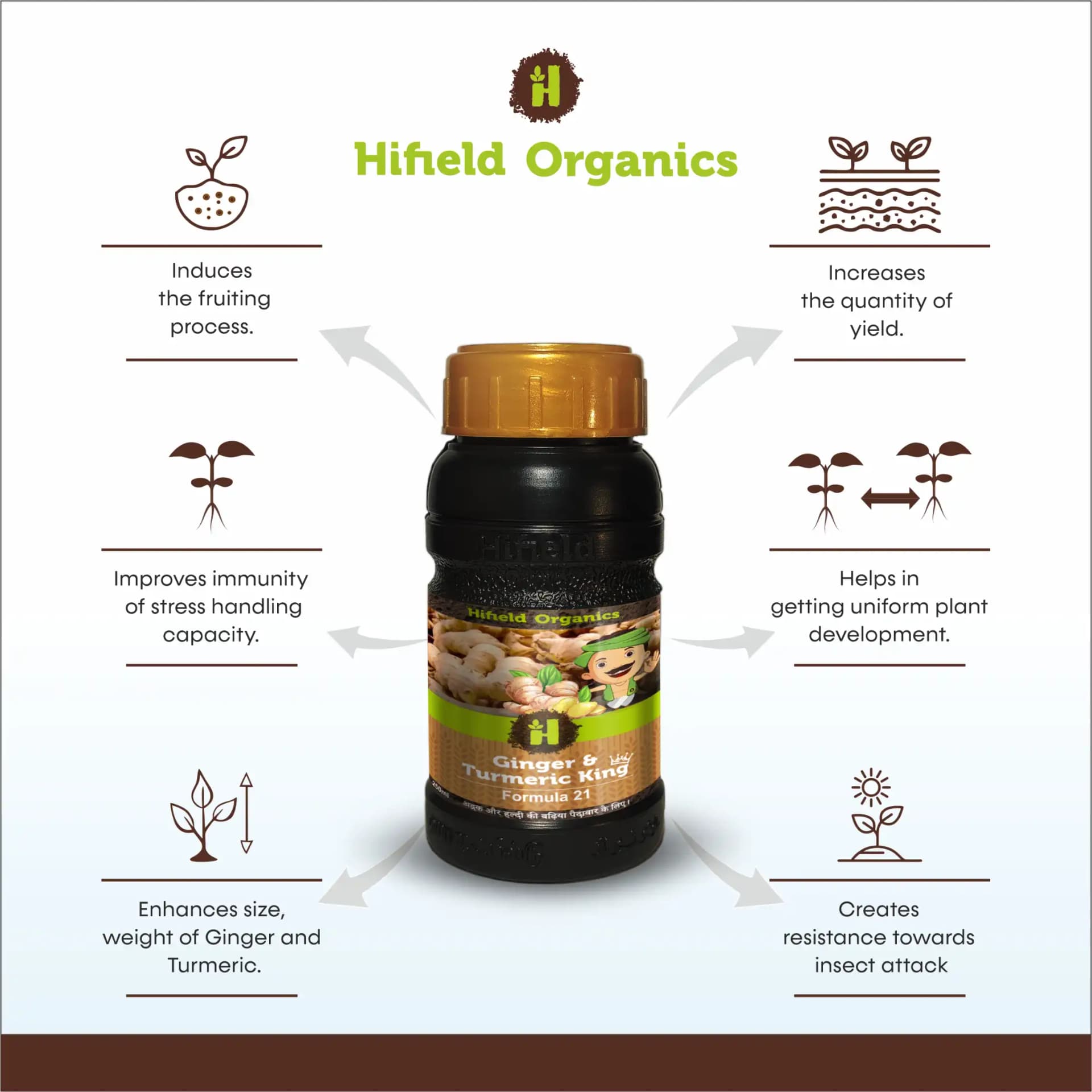 Hifield Ginger and Turmeric King Growth Promoter, Weight and Size Increase for Ginger and Turmeric. - Image 2