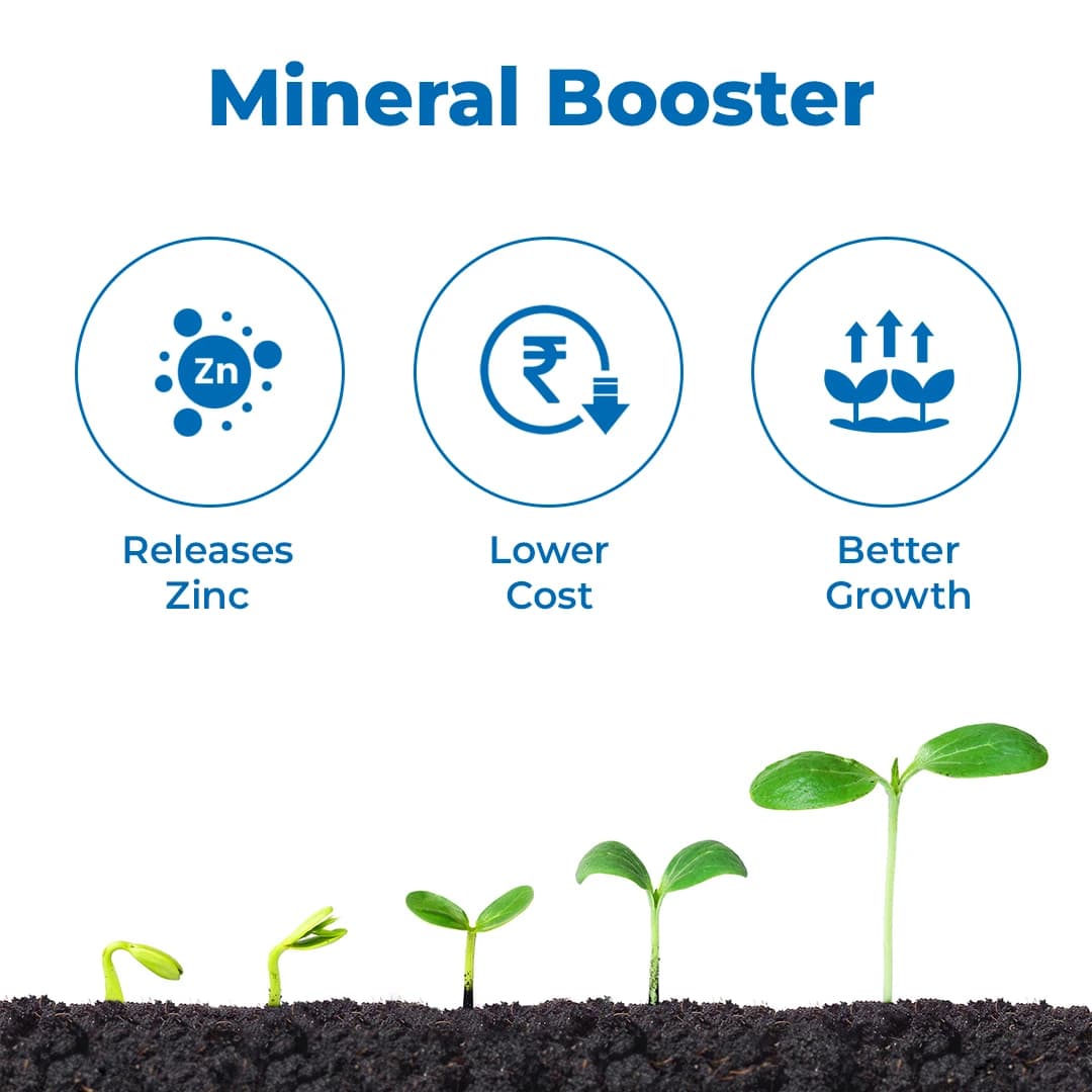 EBS Zinc Solubiilizing Bacterial Bio fertilizer (ZSB), For All Plants And Home Garden, Ecofriendly - Image 4